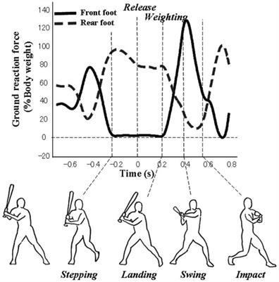 Changes in Movement Coordination Associated With Skill Acquisition in Baseball Batting: Freezing/Freeing Degrees of Freedom and Functional Variability